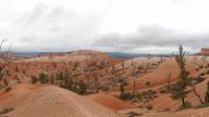 bryce-canyon-np-39